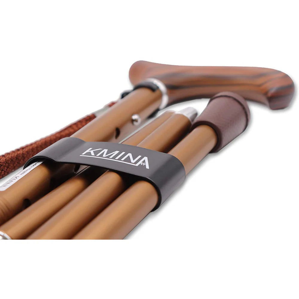 Bastón PRO Plegable