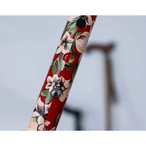 Bastón PRO - Extensible